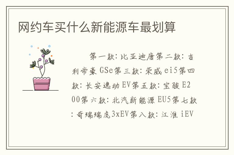 网约车买什么新能源车最划算
