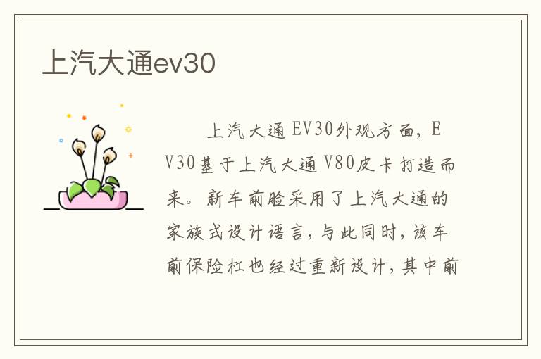 上汽大通ev30